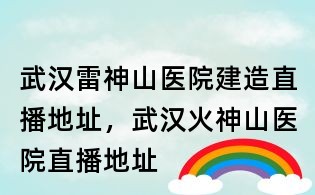武漢雷神山醫院建造直播地址，武漢火神山醫院直播地址