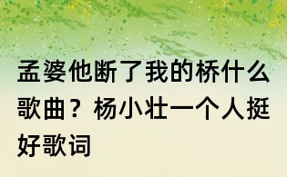 孟婆他斷了我的橋什么歌曲?楊小壯一個人挺好歌詞