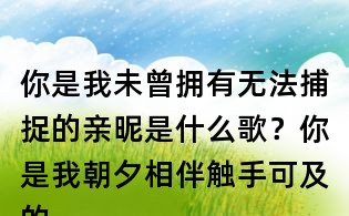 你是我未曾擁有無法捕捉的親昵是什么歌？你是我朝夕相伴觸手可及的虛擬什么歌？陳粒虛擬歌詞
