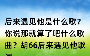 后來遇見他是什么歌？你說那就算了吧什么歌曲？胡66后來遇見他歌詞