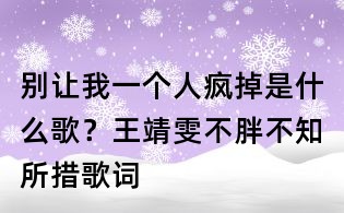 別讓我一個人瘋掉是什么歌？王靖雯不胖不知所措歌詞