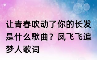 讓青春吹動了你的長發是什么歌曲？鳳飛飛追夢人歌詞