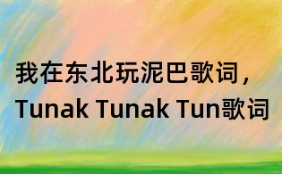 我在東北玩泥巴歌詞，Tunak Tunak Tun歌詞