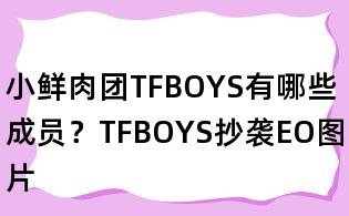 小鮮肉團TFBOYS有哪些成員？TFBOYS抄襲EO圖片