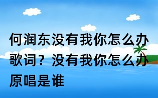 何潤東沒有我你怎么辦歌詞？沒有我你怎么辦原唱是誰