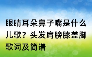 眼睛耳朵鼻子嘴是什么兒歌？頭發肩膀膝蓋腳歌詞及簡譜