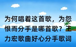 為何唱著這首歌，為怨恨而分手是哪首歌？王力宏歌曲好心分手歌詞