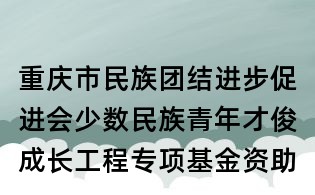重慶市民族團(tuán)結(jié)進(jìn)步促進(jìn)會(huì)少數(shù)民族青年才俊成長(zhǎng)工程專項(xiàng)基金資助申請(qǐng)表