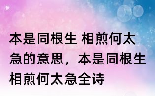 本是同根生 相煎何太急的意思，本是同根生相煎何太急全詩