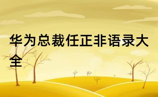 華為總裁任正非語錄大全