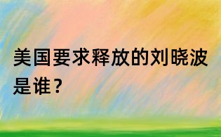 美國要求釋放的劉曉波是誰？