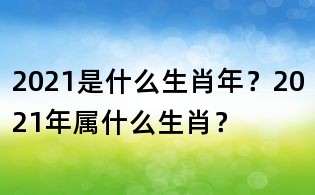2021是什么生肖年？2021年屬什么生肖？