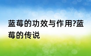 藍莓的功效與作用?藍莓的傳說
