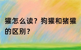 獾怎么讀？狗獾和豬獾的區別？