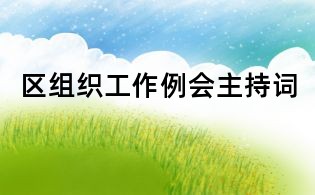 區(qū)組織工作例會主持詞