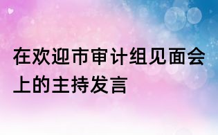 在歡迎市審計(jì)組見面會上的主持發(fā)言