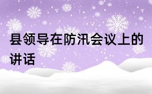 縣領導在防汛會議上的講話