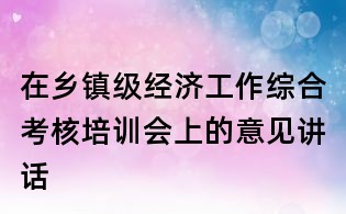 在鄉鎮級經濟工作綜合考核培訓會上的意見講話
