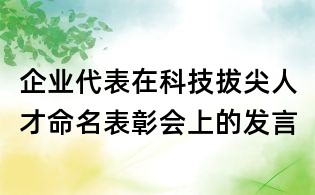 企業(yè)代表在科技拔尖人才命名表彰會上的發(fā)言