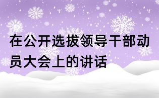 在公開選拔領(lǐng)導(dǎo)干部動(dòng)員大會(huì)上的講話