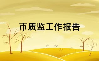 市質(zhì)監(jiān)工作報告