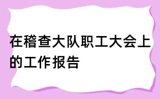 在稽查大隊(duì)職工大會(huì)上的工作報(bào)告