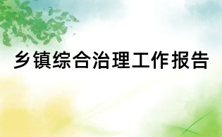 鄉(xiāng)鎮(zhèn)綜合治理工作報告