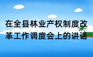 在全縣林業(yè)產(chǎn)權(quán)制度改革工作調(diào)度會(huì)上的講話