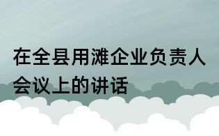 在全縣用灘企業(yè)負(fù)責(zé)人會(huì)議上的講話
