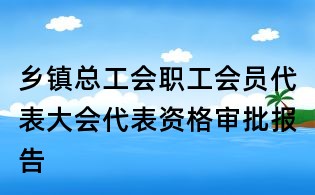 鄉(xiāng)鎮(zhèn)總工會職工會員代表大會代表資格審批報告