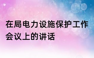 在局電力設施保護工作會議上的講話