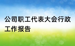 公司職工代表大會行政工作報告