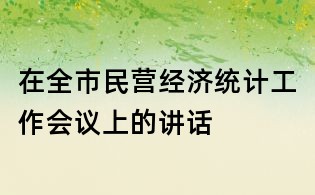 在全市民營經濟統計工作會議上的講話