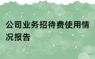 公司業(yè)務(wù)招待費(fèi)使用情況報(bào)告