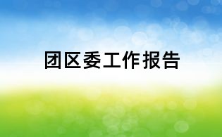 團區委工作報告
