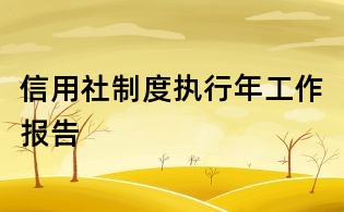 信用社制度執(zhí)行年工作報告