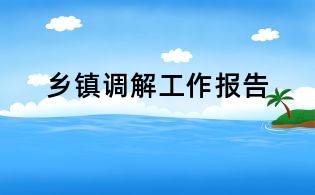 鄉鎮調解工作報告