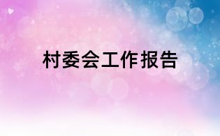 村委會工作報告