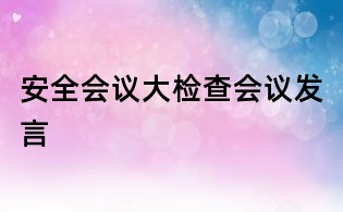 安全會議大檢查會議發言