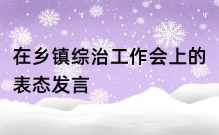 在鄉鎮綜治工作會上的表態發言