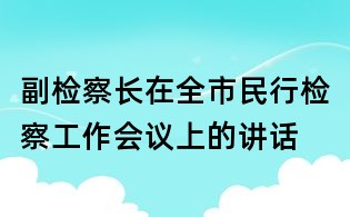 副檢察長在全市民行檢察工作會議上的講話