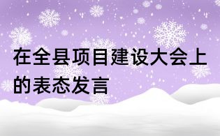 在全縣項目建設大會上的表態發言