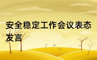 安全穩定工作會議表態發言