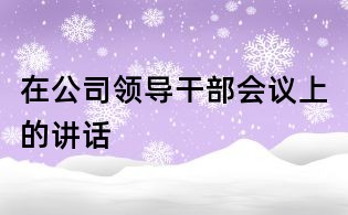 在公司領(lǐng)導(dǎo)干部會議上的講話