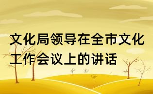 文化局領導在全市文化工作會議上的講話