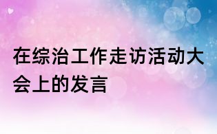 在綜治工作走訪活動大會上的發(fā)言