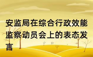安監局在綜合行政效能監察動員會上的表態發言