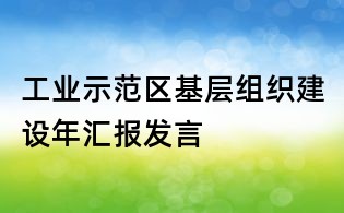 工業(yè)示范區(qū)基層組織建設(shè)年匯報發(fā)言
