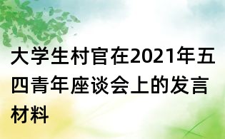 大學生村官在2021年五四青年座談會上的發言材料