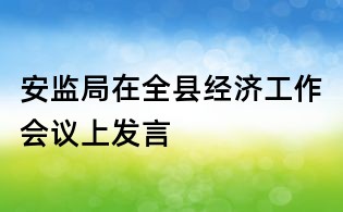 安監(jiān)局在全縣經(jīng)濟工作會議上發(fā)言